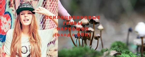 амф Абдулино