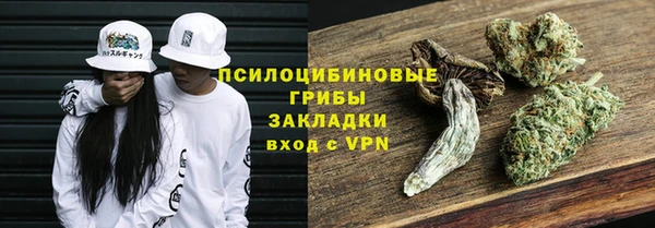 ГАЛЛЮЦИНОГЕННЫЕ ГРИБЫ Киреевск